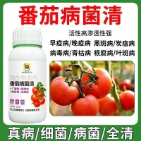 番茄病害清病菌清微生物菌劑番茄病害灰霉炭疽殺菌劑無(wú)毒以菌抑菌